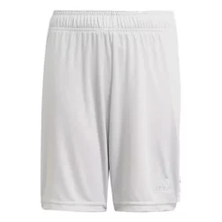 Boys' Adidas Tastigo Shorts