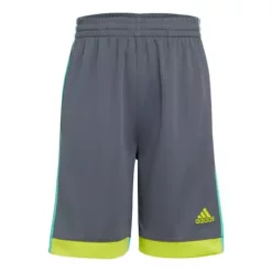 Boys' Adidas Winner Shorts