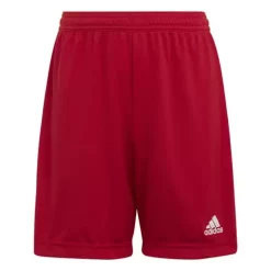 Boys' Adidas Entrada 22 Shorts