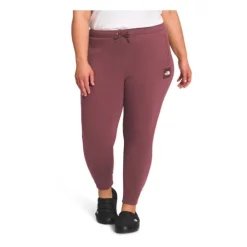 Women's The North Face Plus Box NSE Joggers