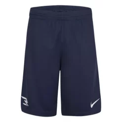 Boys' Nike Badge RWB Shorts